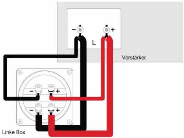 L Verstärker Linke Box