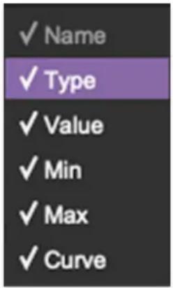 ✓ Name ✓ Type ✓ Value ✓ Min ✓ Max ✓ Curve