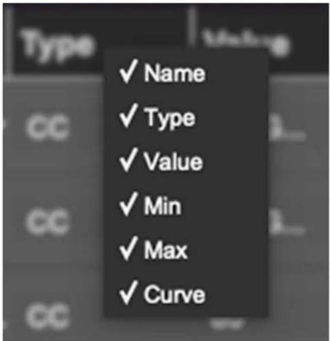 ✓ Name ✓ Type ✓ Value ✓ Min ✓ Max ✓ Curve