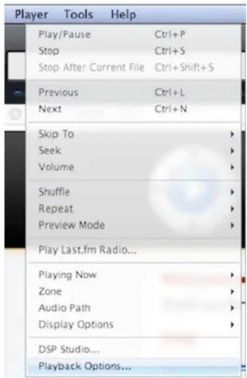 Player Tools Help Play/Pause Ctrl+P Stop Ctrl+S Stop After Current File Ctrl+Shift+S Previous Ctrl+L Next Ctrl+N Skip To Seek Volume Shuffle Repeat Preview Mode Play Last.fm Radio... Playing Now Zone Audio Path Display Options DSP Studio... Playback Options...