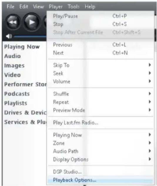 File Edit View Player Tools Help Play/Pause Ctrl+P Stop Ctrl+S Stop After Current File Ctrl+Shift+S Playing Now Audio Images Video Performer Stor Podcasts Playlists Drives & Devic Services & Plu Previous Ctrl+L Next Ctrl+N Skip To Seek Volume Shuffle Repeat Preview Mode Play Last.fm Radio... Playing Now Zone Audio Path Display Options DSP Studio... Playback Options...