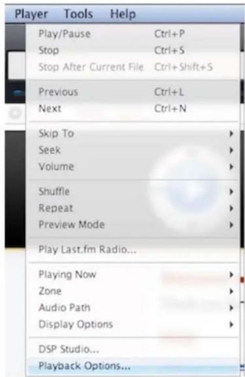 Player Tools Help Play/Pause Ctrl+P Stop Ctrl+S Stop After Current File Ctrl+Shift+S Previous Ctrl+L Next Ctrl+N Skip To Seek Volume Shuffle Repeat Preview Mode Play Last.fm Radio... Playing Now Zone Audio Path Display Options DSP Studio... Playback Options...