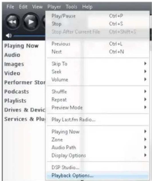 File Edit View Player Tools Help Play/Pause Ctrl+P Stop Ctrl+S Stop After Current File Ctrl+Shift+S Previous Ctrl+L Next Ctrl+N Skip To Seek Volume Shuffle Repeat Preview Mode Play Last.fm Radio... Playing Now Zone Audio Path Display Options DSP Studio... Playback Options...