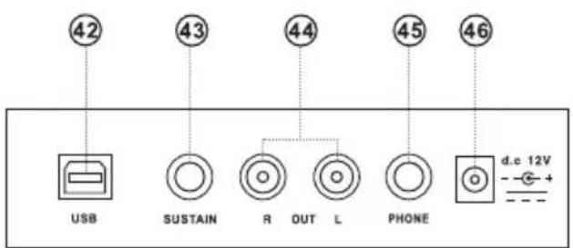 42 43 44 45 46 USB SUSTAIN R OUT L PHONE d.c. 12V - +