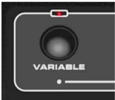 VARIABLE