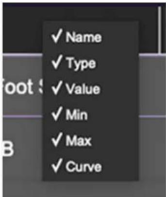 ✓ Name ✓ Type ✓ Value ✓ Min ✓ Max ✓ Curve