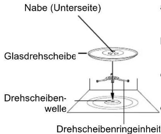 Nabe (Unterseite) Glasdrehscheibe Drehscheiben- welle Drehscheibenringeinheit