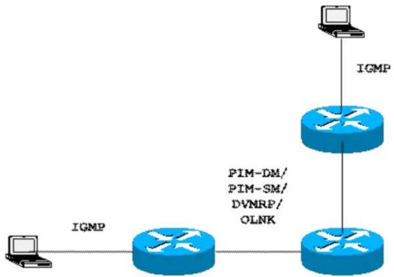 Planet GPL-8000 - Multicast Routing Realization - 1