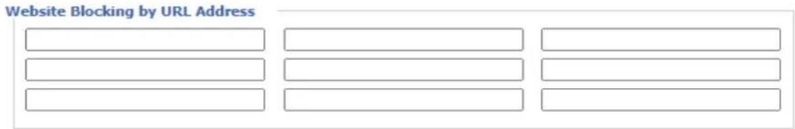 Website Blocking by URL Address