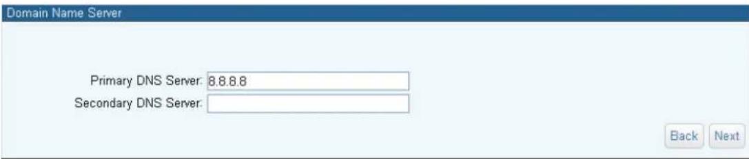 Domain Name Server Primary DNS Server: 8.8.8.8 Secondary DNS Server: