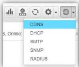 DDNS DHCP SMTP SNMP RADIUS