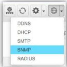 DDNS DHCP SMTP SNMP RADIUS
