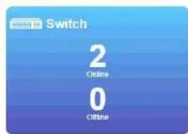 Switch 2 Online 0 Offline