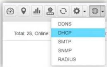DDNS DHCP SMTP SNMP RADIUS Total: 28, Online: