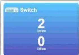 Switch 2 Online 0 Offline