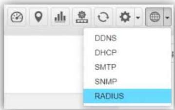 DDNS DHCP SMTP SNMP RADIUS