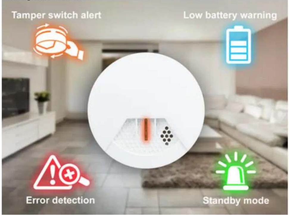 Tamper switch alert Low battery warning Error detection Standby mode