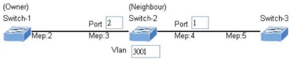 Planet MGSD-10080F - Set ERPS Configuration on Switch 2 - 1