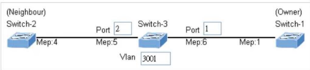 Planet MGSD-10080F - Set ERPS Configuration on Switch 3 - 1