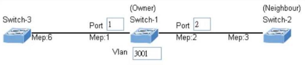 Planet MGSD-10080F - Set ERPS Configuration on Switch 1 - 1
