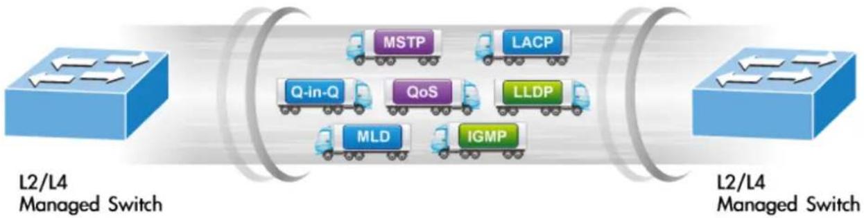 Planet MGSD-10080F - Robust Layer 2 Features - 1