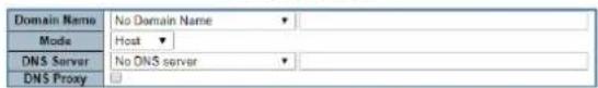 Domain Name No Domain Name Mode Host DNS Server No DNS server DNS Proxy