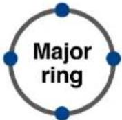 Planet MGSD-10080F - Ethernet Ring Protocol Switch - 2
