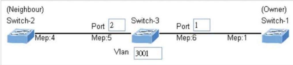 graph LR A["(Neighbour) Switch-2"] -->|Mep:4| B["Port 2"] B -->|Mep:5| C["Switch-3"] C -->|Vlan 3001| D["Port 1"] D -->|Mep:6| E["Switch-1"] E -->|Mep:1| F["(Owner) Switch-1"]