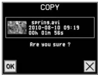 COPY spring.avi 2010-08-10 09:19 00h 01n 56s Are you sure ? OK