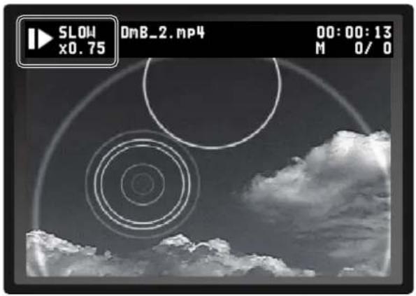 SLOW x0.75 00:00:13 M 0/0 DmB_2.mp4