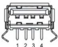 NuPrime DAC-8 - NuPrime Extension Port - 1