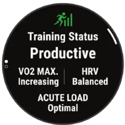 GARMIN epix 2S Pro - Trainingszustand - 1