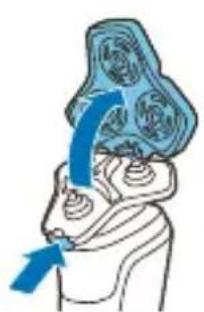 Illustration of a human head with a blue arrow pointing to the brain area, no text or symbols present
