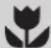 ELECTROLUX EQBL60 - tips and information - 1
