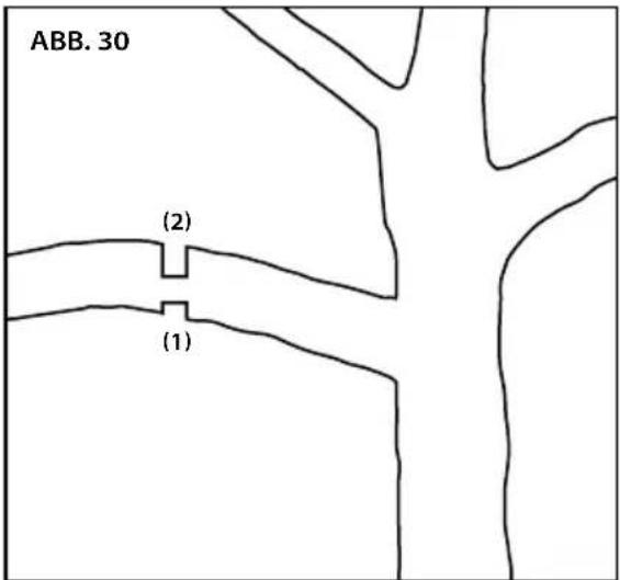 ABB. 30 (2) (1)
