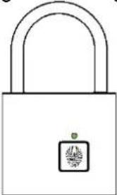 Be Cool BCPL22M1 - Quick guide - 2