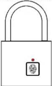Be Cool BCPL22M1 - Quick guide - 3