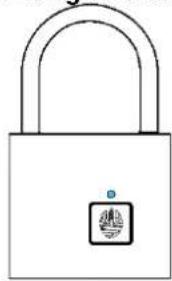 Be Cool BCPL22M1 - Quick guide - 1