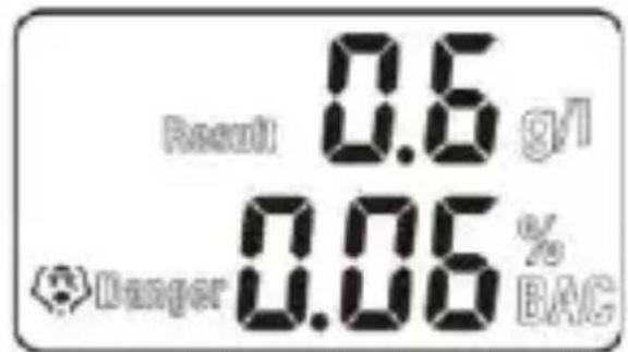 Result 0.6 g/l Danger 0.06 % BAC