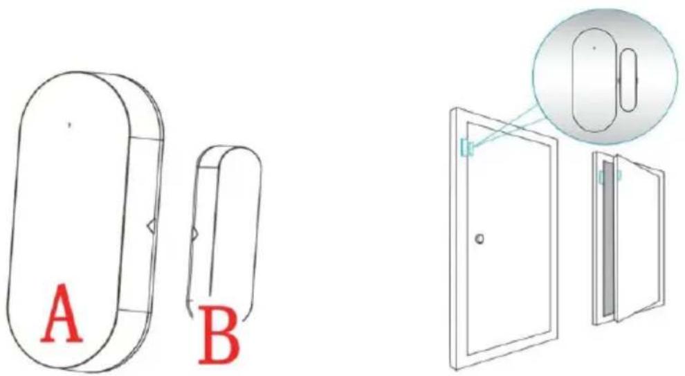 A B