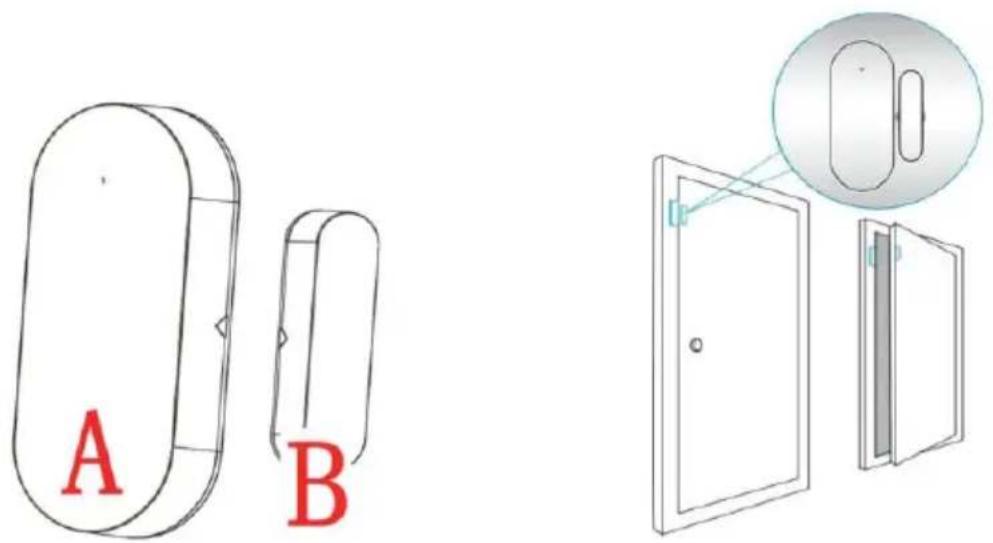 A B