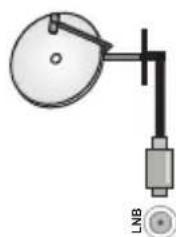 TELEFUNKEN D65U750X2CW - Linke Rückseite TV-Gerät - 2