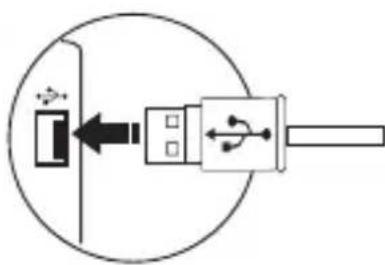 Genesis Holm 300 RGB - Podświetlenie RGB - 1