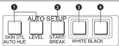 SONY RCP-920 - AUTO SETUP block - 1