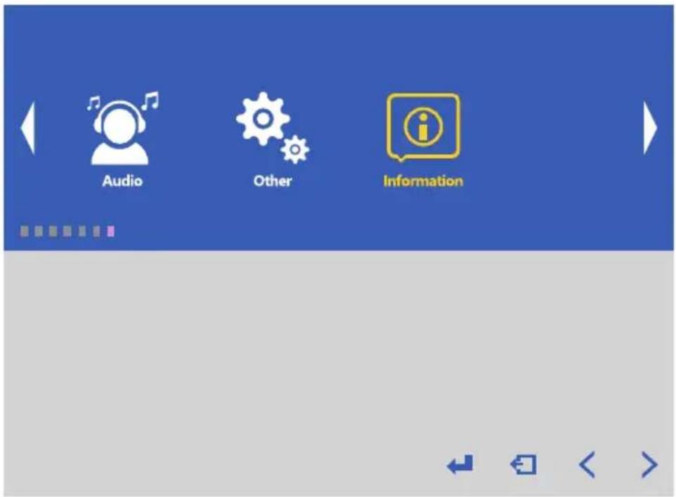 Audio Other Information