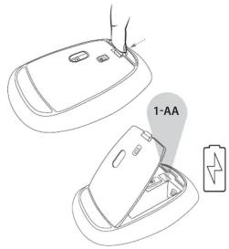 1-AA