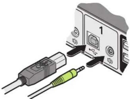 Black Box KV0004A-R2 - TO CONNECT A COMPUTER SYSTEM - 1