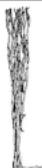 Oecolux GT-TLww-B - LED-LEUCHTZWEIGE - 3
