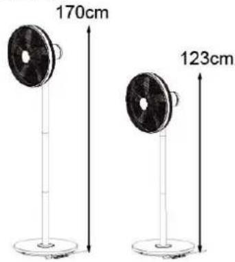 170cm 123cm