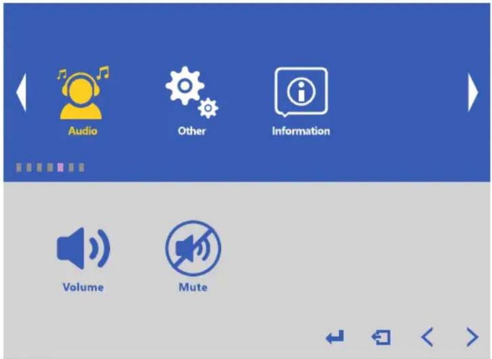 Audio Other Information Volume Mute